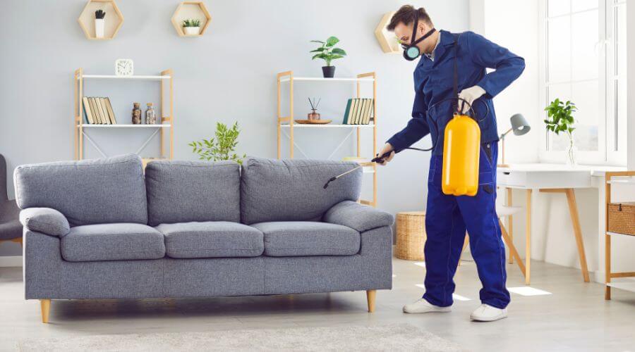 Why choose Chemical Treatment Gardner for chemical treatment in Gardner